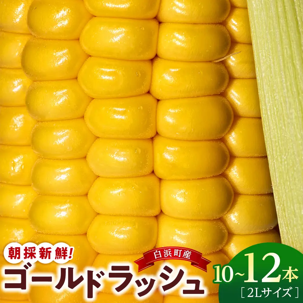 朝採 新鮮 白浜町産 ゴールドラッシュ とうもろこし 2Lサイズ 10～12本 はたごや農園