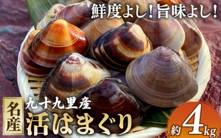 活はまぐり4kg 【 はまぐり 】