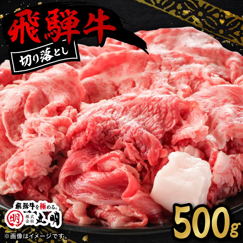 【訳あり】飛騨牛　切り落とし(コマ切れ) 500g【配送不可地域：離島】【1725162】