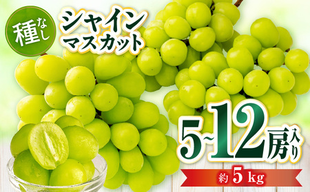 【先行受付】シャインマスカット 5～12房入り(約5kg) | マスカット ぶどう ブドウ 葡萄 果物 フルーツ 人気 香川 香川県 三木町 種なし 皮ごと食べられる ジューシー 旬 おすすめ |_mk006-108
