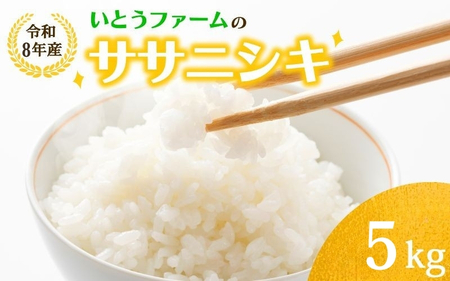 いとうファームの令和8年産「ササニシキ」白米 5kg ※2026年11月より順次発送予定【itofarm020】