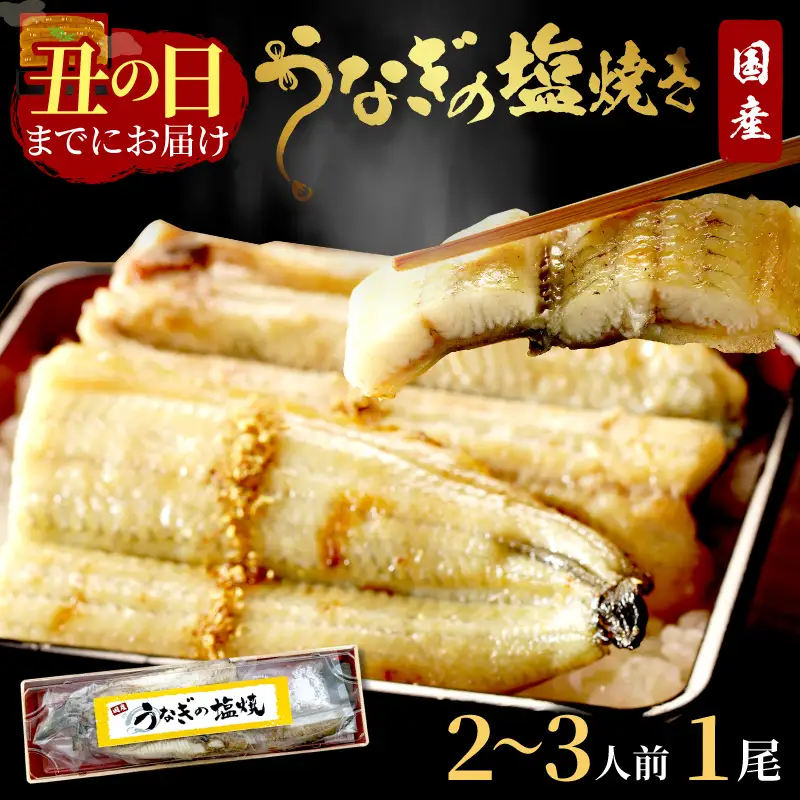 うなぎ【土用の丑の日までに届く！】うなぎ 塩焼き2～3人前(1尾) "新月の塩"使用 