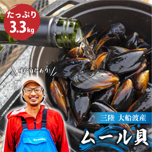 【先行予約】 国産 活ムール貝 3.3kg ＼ ムール貝 ／