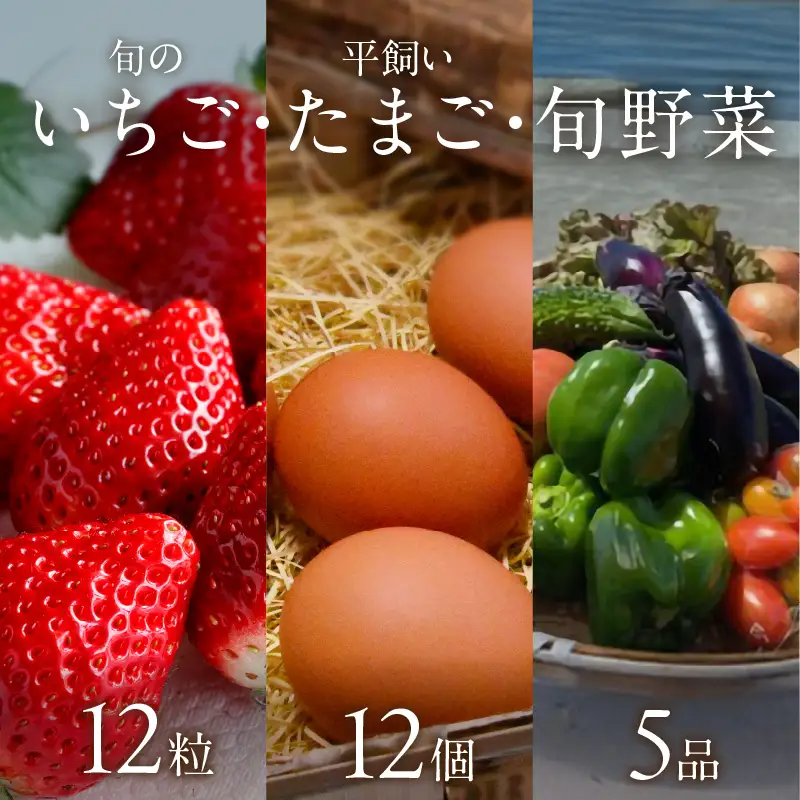 【2026年12月下旬～2027年5月発送予定】泉南市産　旬のいちご・平飼いたまご・旬野菜5品セット【配送不可地域：北海道・沖縄・離島】【015D-027-2027】