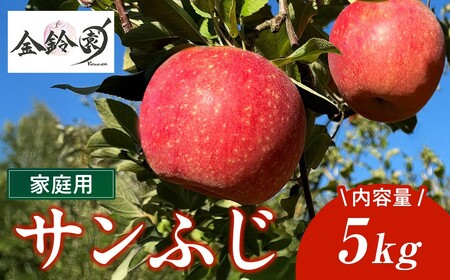 ＼ 予約受付 26年11月発送開始予定 ／【 北上市産 りんご 】サンフジ 【 家庭用 】 5キロ (約13～20玉) 林檎 リンゴ サンふじ 5kg 国産 東北 岩手 産地直送 送料無料 フルーツ 果物 岩手県 北上市 C0171 金鈴園 季節限定 秋 冬
