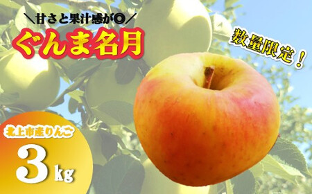 【 北上市産 りんご 】 ＼予約受付 10月下旬発送開始予定 ／  ぐんま名月 3キロ (約8～12玉) 【 贈答用 / 数量限定 】国産 林檎 リンゴ 岩手県 北上市 D0449 金鈴園 産地直送 季節限定 秋 冬 フルーツ 果物