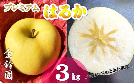 ＼ 予約受付 11月下旬発送開始予定 ／【北上市産】プレミアムはるか 【厳選玉】 3キロ (約9～12玉) 国産 林檎 リンゴ はるか 果物 フルーツ 産地直送 旬 秋 冬 季節限定 金鈴園 岩手県 北上市 D0448