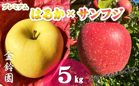 ＼ 予約受付 11月下旬発送開始予定／【北上市産 りんご 】プレミアムはるか ＆ サンフジ 金鈴園  [ 厳選 詰合せ セット ] 5キロ (約13～18玉) 林檎 リンゴ 国産 はるか サンふじ 産地直送 フルーツ 果物 岩手県 北上市 E0254