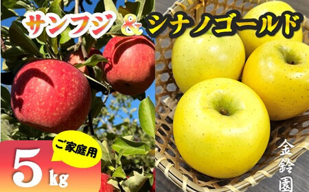 ＼ 予約受付 26年11月下旬 発送開始予定 ／【 北上市産 りんご 】サンフジ ＆ シナノゴールド 【 家庭用 詰め合せ 】 5キロ セット (約13～20玉) 林檎 リンゴ サン ふじ 5kg 国産 東北 岩手 産地直送 フルーツ 果物 岩手県 北上市 D0453 金鈴園 季節限定 秋 冬