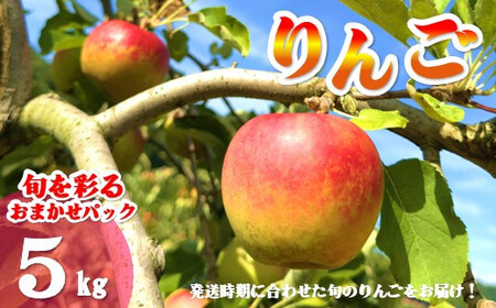 【北上市産 りんご 】＼ 予約受付 9月中旬より発送予定／ 旬を彩るおまかせパック【 厳選 / 贈答用 】 5キロ (約13～20玉) 林檎 リンゴ 国産 東北 岩手 産地直送 フルーツ 果物 岩手県 北上市 D0452 手土産 プレゼント 贈り物 季節限定 金鈴園