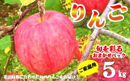 【北上市産 りんご 】 ＼ 予約受付 26年9月発送開始予定 ／ 旬を彩るおまかせパック 【 家庭用 】 5キロ (約13～20玉)  林檎 リンゴ 5kg 国産 東北 岩手 産地直送 送料無料 訳あり フルーツ 果物 岩手県 北上市 C0522 金鈴園 ふるさと納税 限定 季節限定 秋 冬