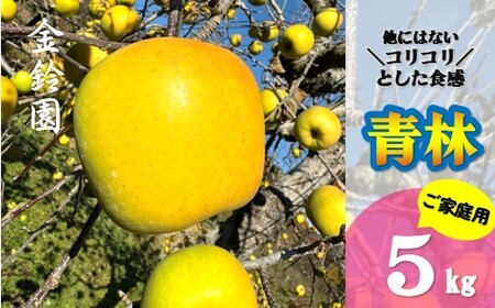 ＼予約受付 11月下旬より発送開始予定／【北上市産 りんご 】 青林 ( セイリン ) 【家庭用】5キロ (約13～20玉) 林檎 リンゴ 5kg 幻のりんご せいりん 国産 産地直送 フルーツ 果物 岩手県 北上市 D0446 金鈴園 季節限定 秋 冬