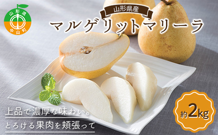 《先行予約》山形県産 マルゲリットマリーラ約2kg（4～6個） 洋梨 西洋梨 洋ナシ 洋なし 秋果実 果物 くだもの フルーツ F4A-1024
