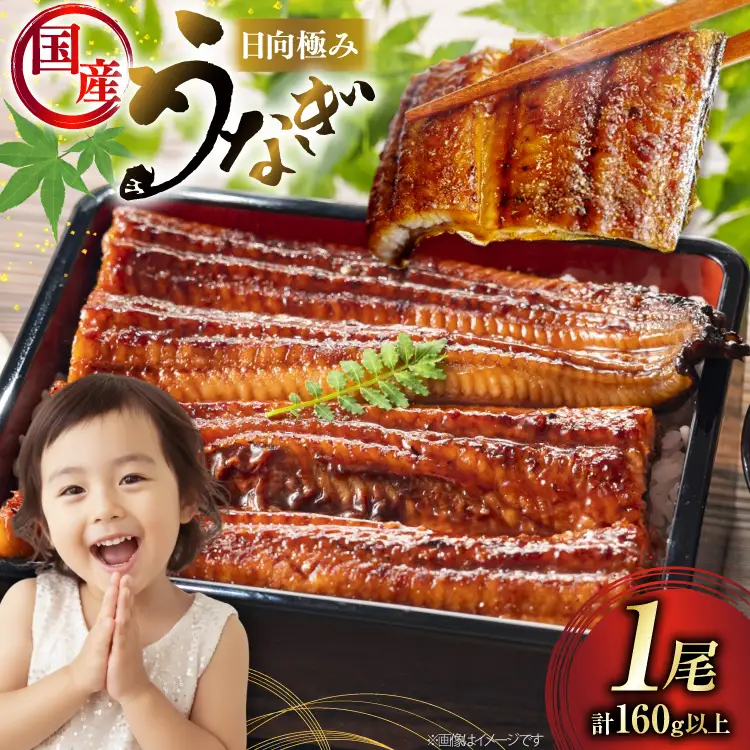 うなぎ 国産 日向極み うなぎ蒲焼 1尾 160g以上 [日向サンパーク 宮崎県 日向市 452061712]