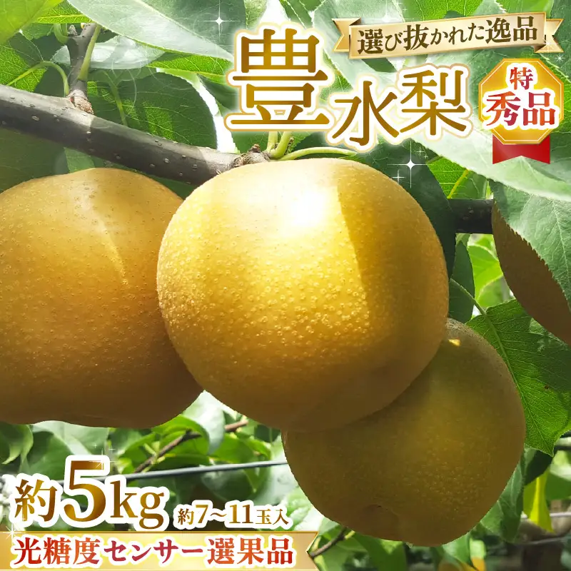 【先行予約】上野梨園の特選大玉 豊水梨『特秀品』糖度保証 5kg 光糖度センサー選果品 梨園直送！ / 期間限定 果物 フルーツ 農家直送 シャキシャキ もぎたて 旬 お取り寄せ ※2026年9月上旬より順次発送 [aw077-b002]