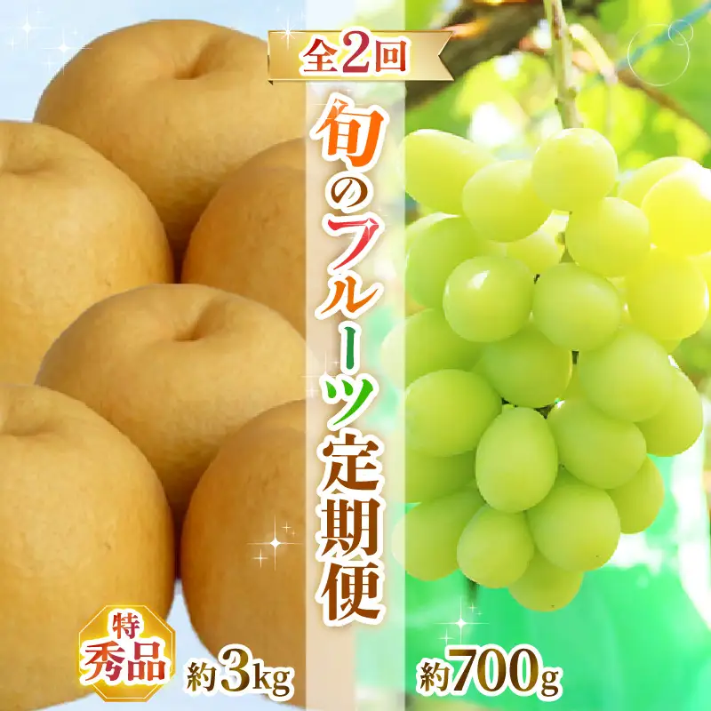 【先行予約】定期便 ≪2回お届け≫ 旬のフルーツ定期便 全2回 シャインマスカットと新興梨『特秀品』 梨園直送！ / 期間限定 果物 フルーツ 農家直送 シャキシャキ もぎたて 旬 お取り寄せ ※2026年9月中旬より順次発送 [aw077-b004]
