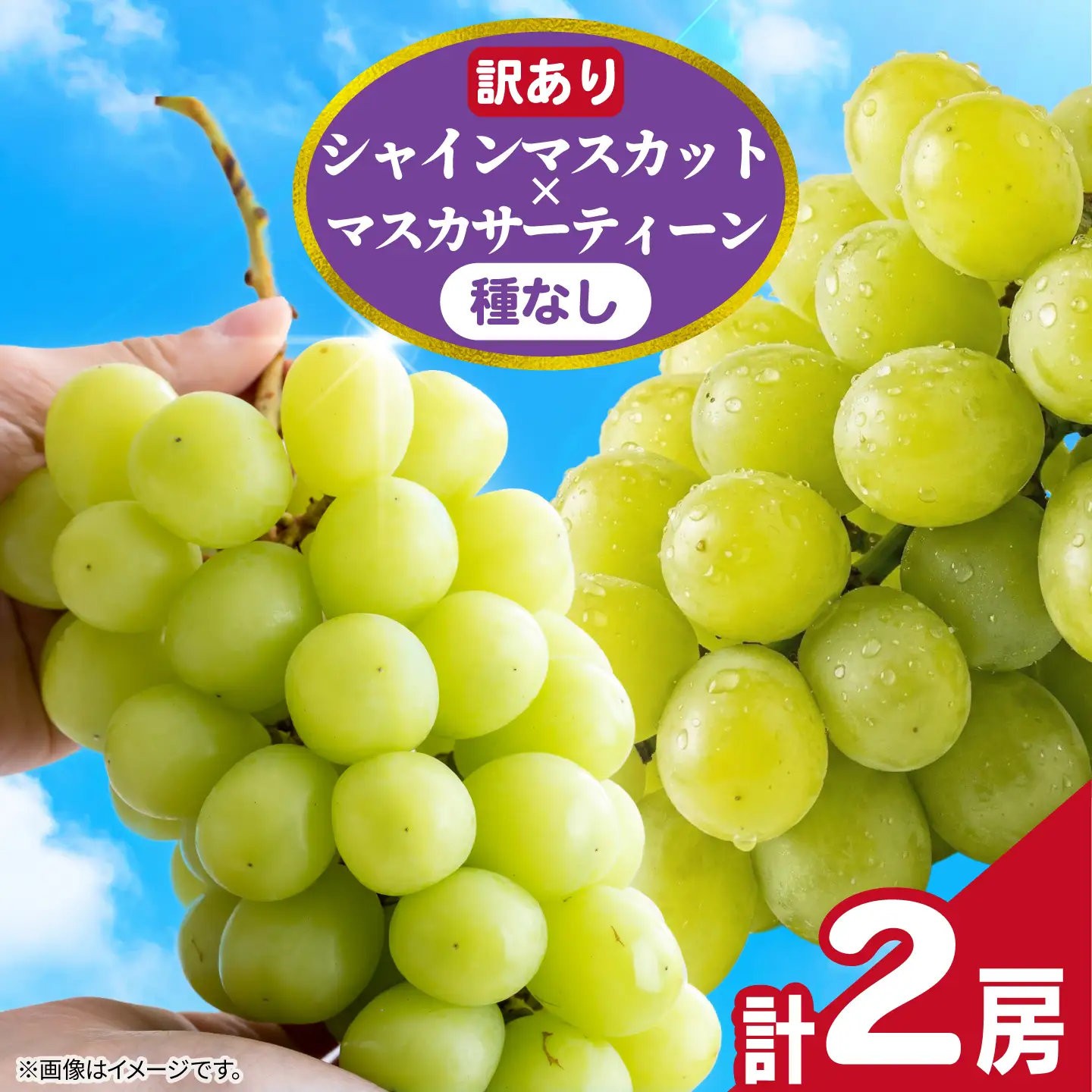 訳あり シャインマスカット × マスカサーティーン （ 種なし ） 1房 450g 以上 