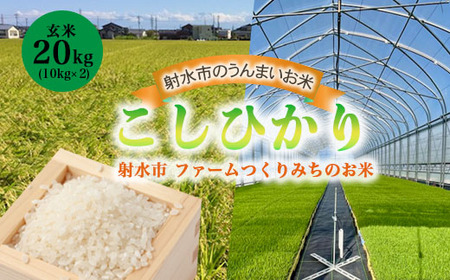 【射水市】【射水の美味しいお米】ファームつくりみちのお米 作道米 R8年度産こしひかり20kg（10kg×2）【玄米】 | 米 こめ コメ こしひかり ブランド米 銘柄米 人気 ランキング 富山 富山米 北陸 北陸米 富山コシヒカリ 北陸コシヒカリ 玄米コシヒカリ 20キロ 20キロ米 20kg 20kg米 ※離島への配送不可 ※2026年9月中旬～10月上旬頃に順次発送予定