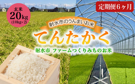 【6ヶ月定期便】【射水市】【射水の美味しいお米】ファームつくりみちのお米 作道米 R8年度産てんたかく20kg（10kg×2）【玄米】｜米 こめ コメ てんたかく 天高く 玄米 ブランド米 銘柄米 人気 ランキング 富山 富山米 北陸 北陸米 富山てんたかく 北陸てんたかく 玄米てんたかく 20キロ 20キロ米 20kg 20kg米 ※離島への配送不可