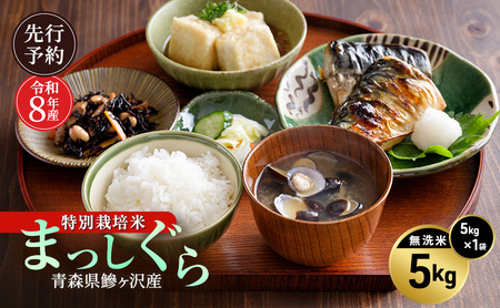先行予約 令和8年産 特別栽培米 まっしぐら 無洗米 5kg [H.GREENWORK] 青森県 鰺ヶ沢産 / お米 こめ おこめ ごはん 農薬5割減 安心 安全 津軽