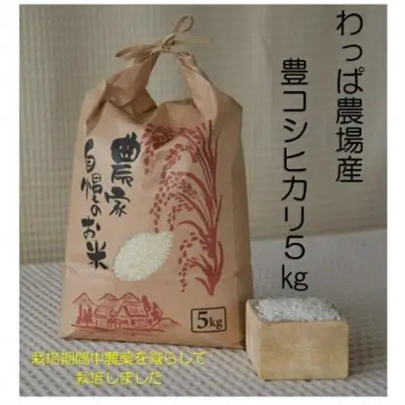 わっぱのお米5kg(低農薬豊こしひかり)【1714517】