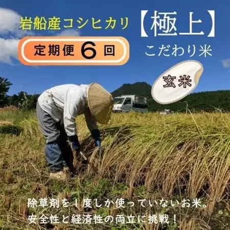 【毎月定期便】[極上]安心こだわり米 岩船産コシヒカリ 玄米6kg(3kg×2袋)[百姓屋]全6回【4084284】