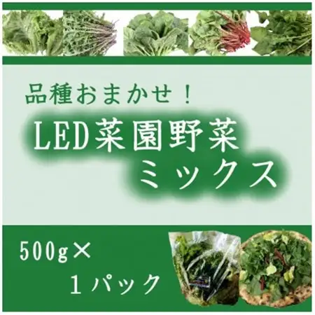 品種おまかせ!LED菜園野菜ミックス 500g×1パック【配送不可地域：離島・北海道・沖縄県・中国・四国・九州】【1668702】