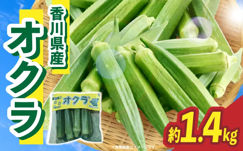 【先行予約】オクラ 約1.4kg |オクラ 野菜 ネバネバ 旬の野菜 旬 季節の野菜 季節 贈答 贈り物 ギフト プレゼント おすそ分け グルメ お取り寄せ 人気 おすすめ 特産 特産品 生鮮食品 香川県 三木町 |_mk006-122