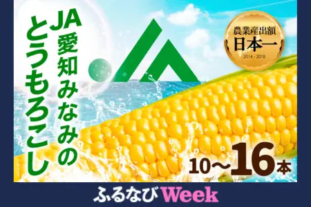 【ふるなびWEEK対象】朝採れ とうもろこし 10~16本 イエロー とうもろこし