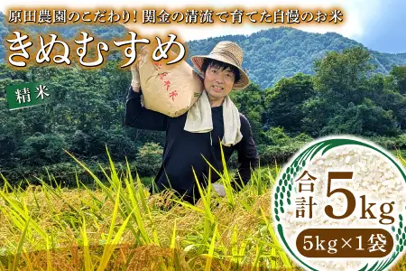【数量限定】原田農園のこだわり精米 5kg ～関金の清流で育てた自慢のお米～
