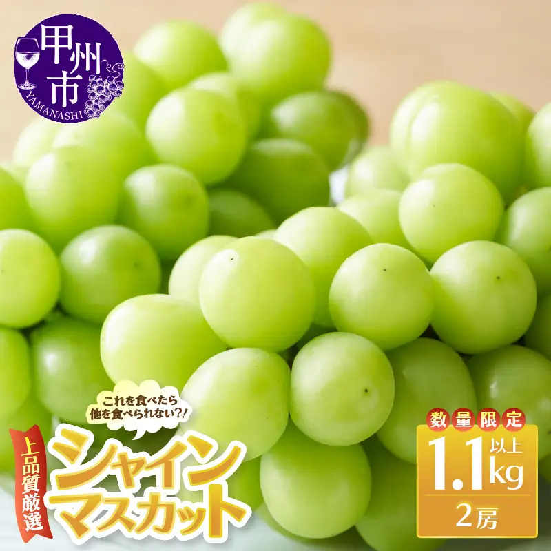 上品質厳選！！のため数量限定 これを食べたら他を食べられない！シャインマスカット 1.1kg以上（2房入り）【2026年発送】（MRN）B-1471 シャインマスカット フルーツ