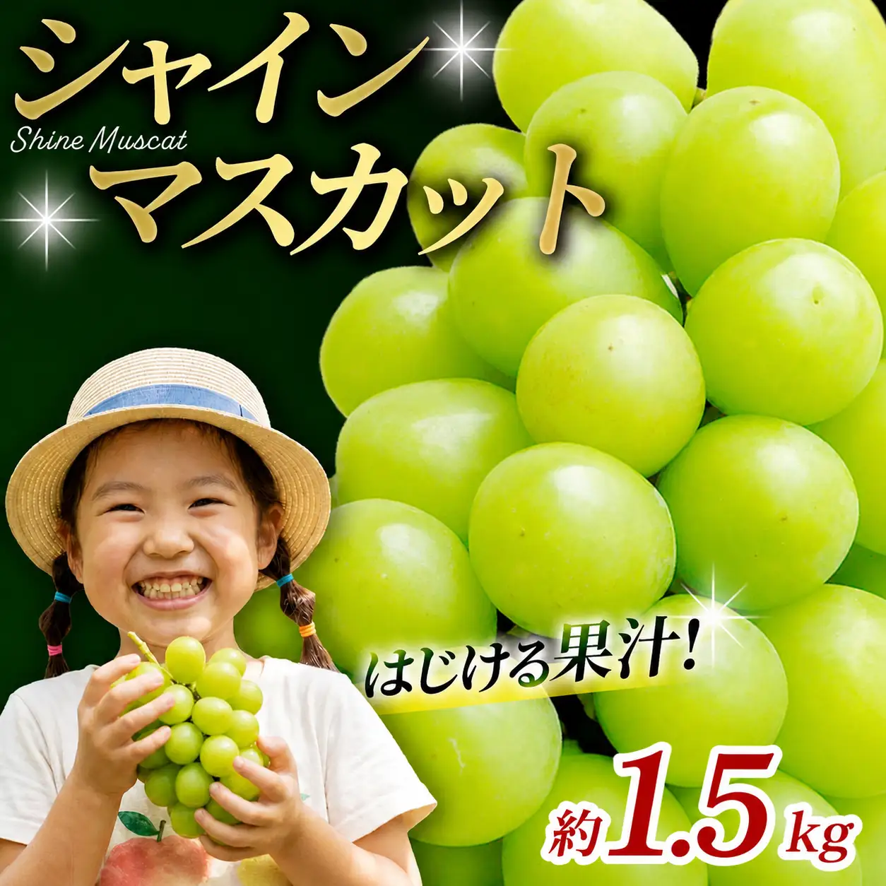 かつらぎ町産　シャインマスカット 約1.5kg（2房）【2026年8月中旬～9月中旬ごろ順次発送】【AQ-ikd730】 