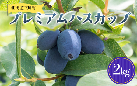 及川農園 プレミアムハスカップ 2kg F4G-0343