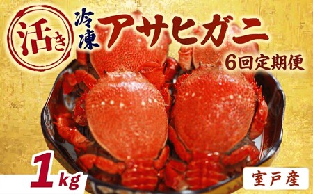 【6回 定期便 活冷凍 アサヒガニ 約１㎏ 】 アサヒガニ あさひがに 朝日蟹 蟹 かに カニ 活冷凍 活き 生 姿 冷凍 セット 詰め合わせ パスタ 味噌汁 焼ガニ 魚介類 海鮮 海の幸 産地直送 産直 旬 晩御飯 夕食 おかず 酒の肴 おつまみ 贅沢 自宅用 家庭用 お取り寄せ 美阿丸 高知県 室戸市