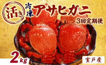 【3回 定期便 活冷凍 アサヒガニ 約２㎏ 】 アサヒガニ あさひがに 朝日蟹 蟹 かに カニ 活冷凍 活き 生 姿 冷凍 セット 詰め合わせ パスタ 味噌汁 焼ガニ 魚介類 海鮮 海の幸 産地直送 産直 旬 晩御飯 夕食 おかず 酒の肴 おつまみ 贅沢 自宅用 家庭用 お取り寄せ 美阿丸 高知県 室戸市