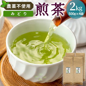 農薬不使用！煎茶 みどり 2kg 常磐園 白川茶 美濃白川茶 日本茶 緑茶 煎茶 茶葉 お茶 一番茶 春摘み リーフ 国産 大容量 岐阜県 東白川村 家庭用 進物用