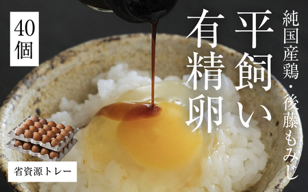 平飼い有精卵40個 省資源トレー｜環境配慮・エコ包装（西粟倉村）【配送不可地域：沖縄・離島】t-SS-AqDA