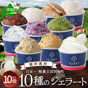 贅沢素材・10種のジェラート（ あいす アイス ジェラート 北海道 別海町 人気 ふるさと納税 ）【EK0000014】