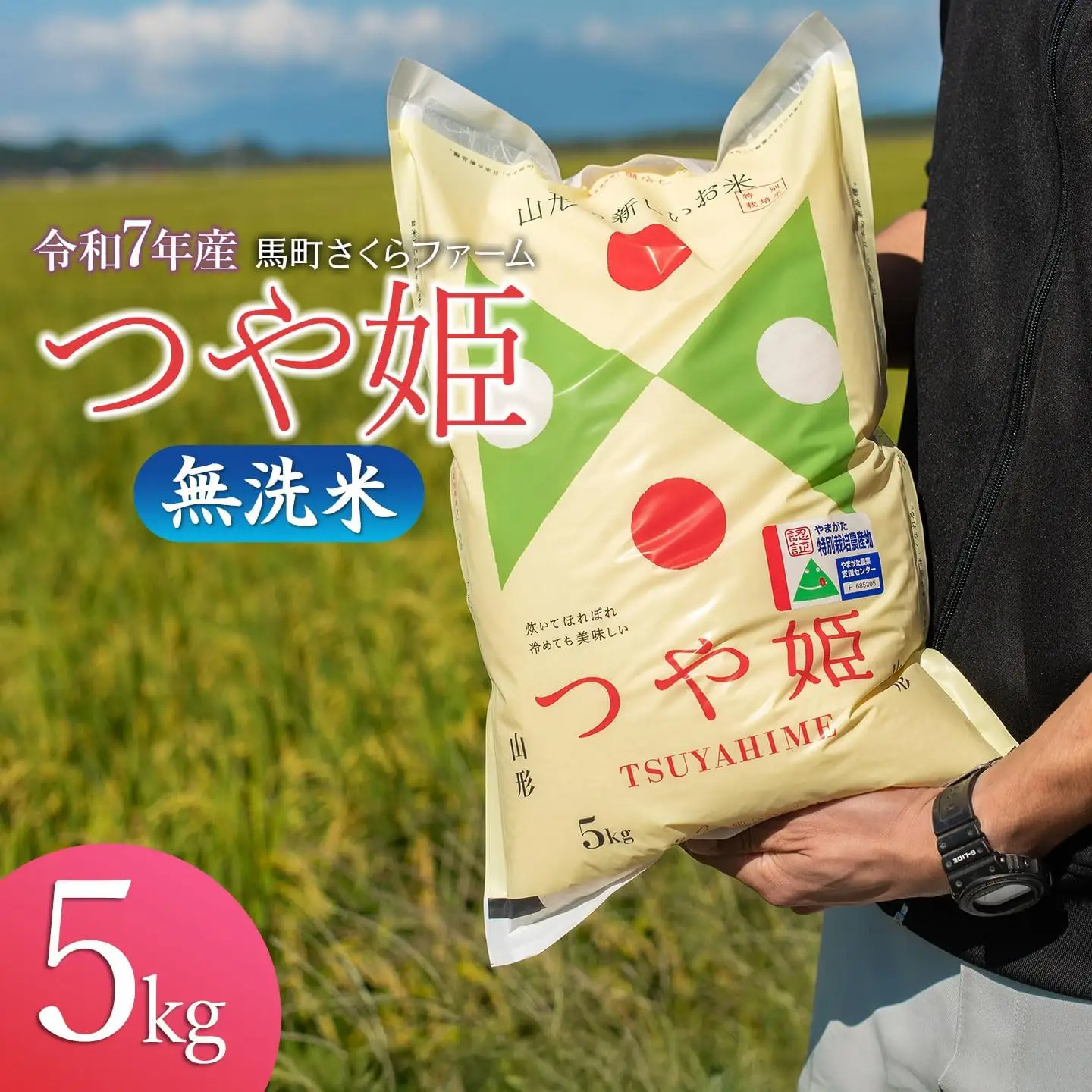 【令和7年産】 馬町さくらファームのつや姫 無洗米 5kg（5kg×1袋）　特別栽培米　山形県鶴岡市　K-737　| 米 つやひめ お米 5キロ コメ こめ ご飯 ごはん ブランド米 米どころ 庄内米 国産 美味しい お取り寄せ 農家直送 お弁当 おにぎり おすすめ 人気 返礼品