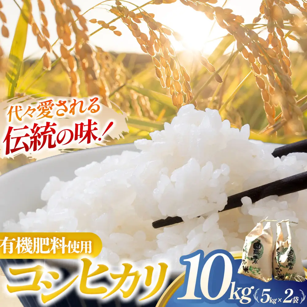 令和7年産コシヒカリ精米10kg｜ コシヒカリ ご飯 白米 多気町 三重県 近畿