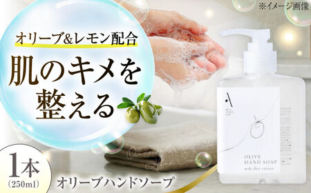 オリーブハンドソープ【AKI no SHIMA no MI】250ml×1本 美容 ボディケア ハンドケア 江田島市/リベラグループ[XAJ112]