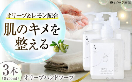 オリーブハンドソープ【AKI no SHIMA no MI】250ml×3本 美容 ボディケア ハンドケア 江田島市/リベラグループ[XAJ114]