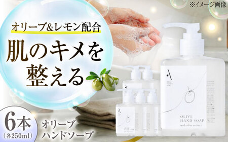 オリーブハンドソープ【AKI no SHIMA no MI】250ml×6本 美容 ボディケア ハンドケア 江田島市/リベラグループ[XAJ115]
