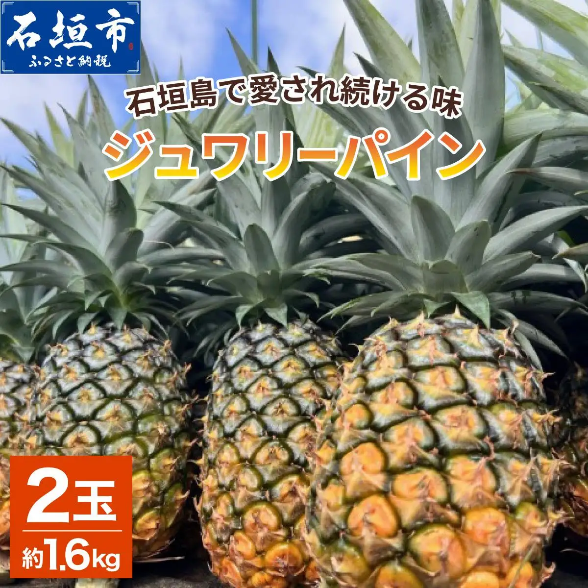 石垣島産ジュワリーパイン 2玉 約1.4kg