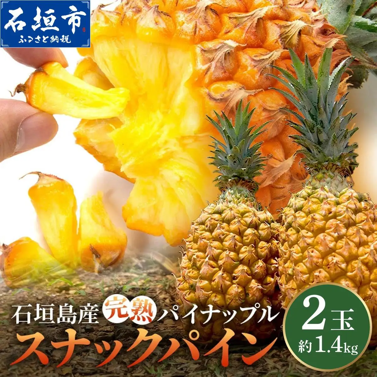 石垣島産 完熟 スナックパイン 2玉 約1.4kg 