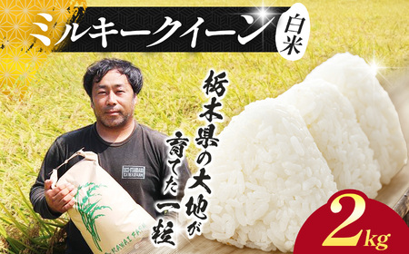 【先行予約】栃木県 下野市 ミルキークイーン 2kg 米