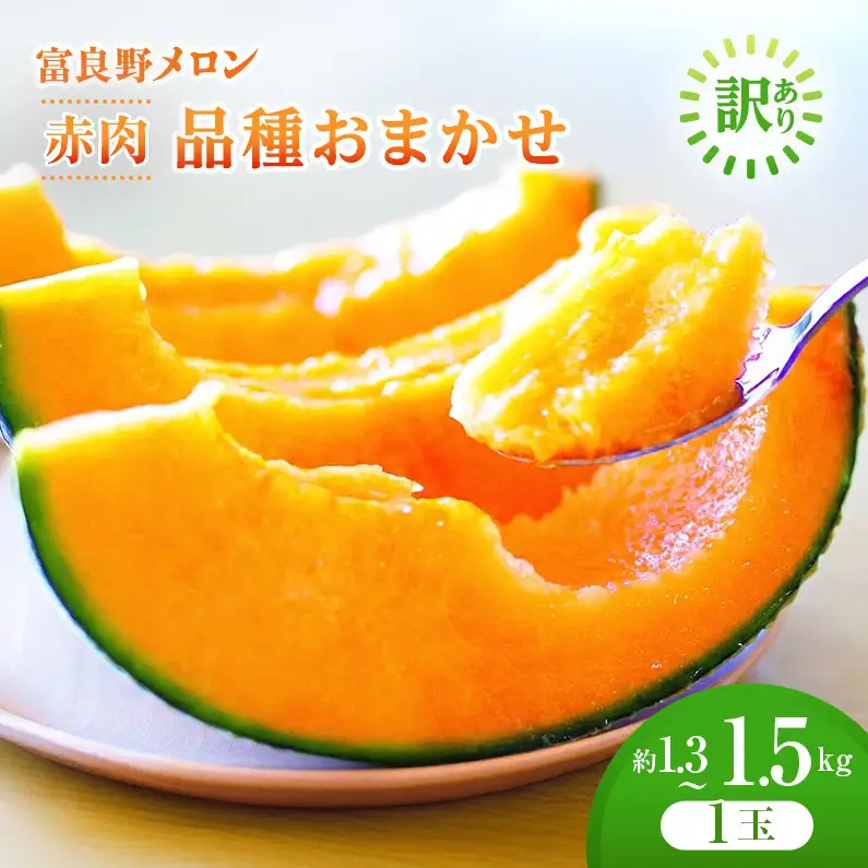 ＜2026年発送＞富良野メロン 約1.3kg～1.5kg 1玉 [ メロン フルーツ 果物 北海道 富良野 ]