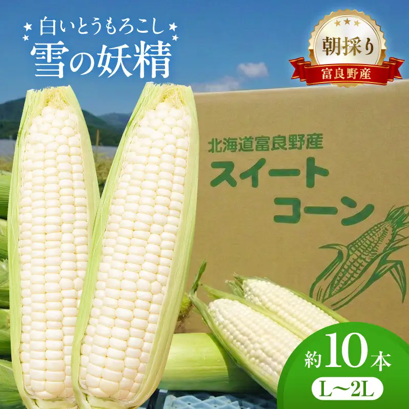 朝採り 白いとうもろこし 「雪の妖精」 秀品 北海道富良野産 L～2L 約10本 [ とうもろこし とうきび コーン ホワイトコーン 野菜 北海道 富良野 ]