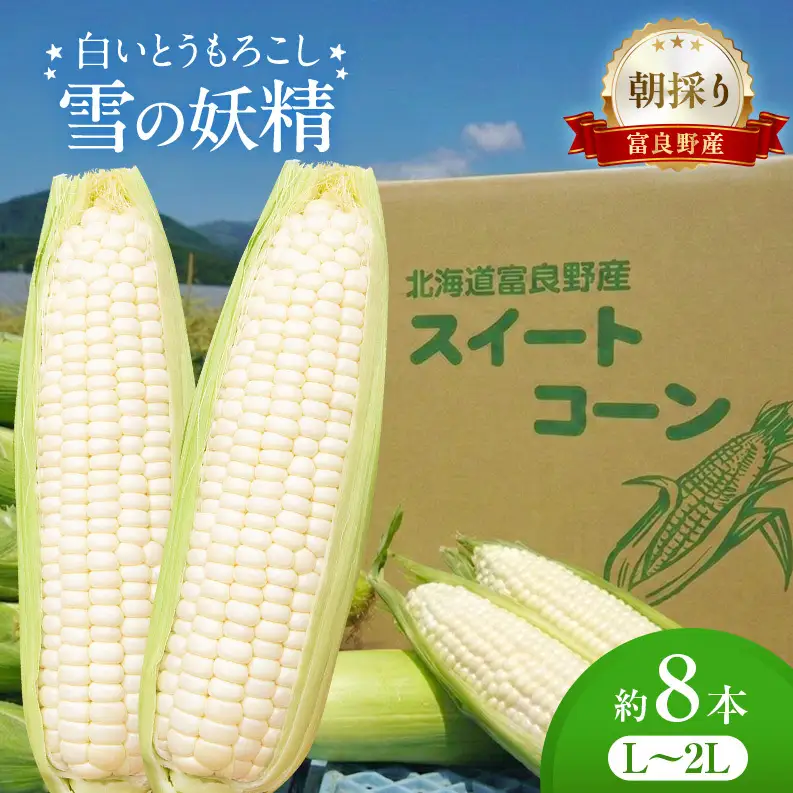 朝採り 白いとうもろこし 「雪の妖精」 北海道富良野産 L～2L 約8本 [ とうもろこし とうきび コーン ホワイトコーン 野菜 北海道 富良野 ]