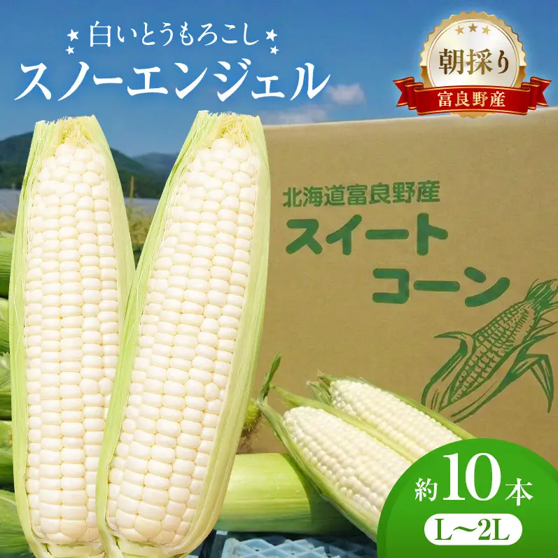 白いとうもろこし 「スノーエンジェル」 北海道富良野産 L～2L 約10本 [ とうもろこし とうきび コーン ホワイトコーン 野菜 北海道 富良野 ]